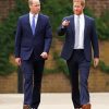 Classy Prince William And Harry Paint By Numbers