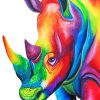 Colorful Rainbow Rhino Paint By Numbers