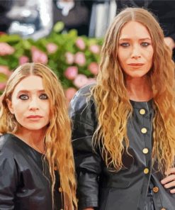 Cool Mary Kate and Ashley Paint By Numbers