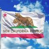 Flying California Flag Paint By Numbers