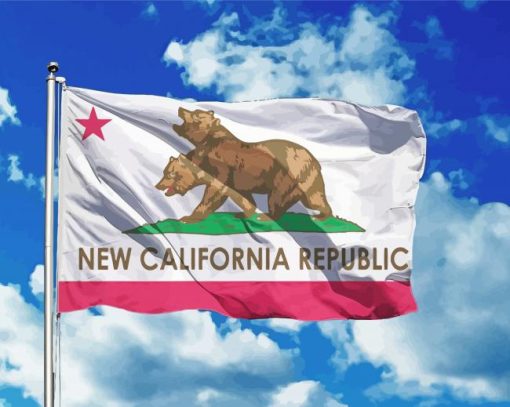 Flying California Flag Paint By Numbers