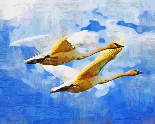 Flying Swan Art Paint By Numbers