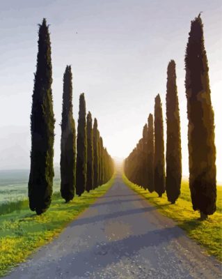 Green Cypress Trees Paint By Numbers