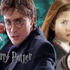 Ginny Weasley And Harry Potter paint by numbers