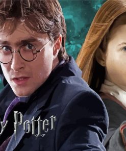 Ginny Weasley And Harry Potter paint by numbers