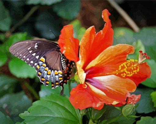 Orange Hibiscus With Butterfly Paint By Numbers