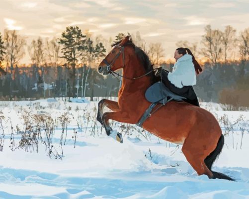 Riding Brown Mare Horse Paint By Numbers