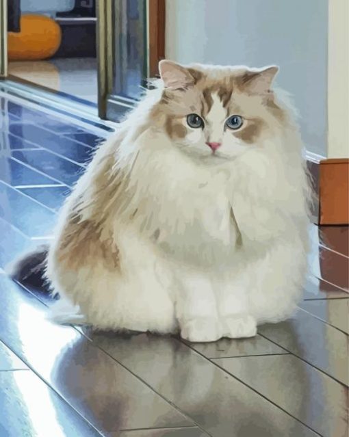 White Adorable Large Fluffy Cat Paint By Numbers