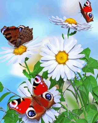 White Daisy Flowers With Butterflies Paint By Numbers