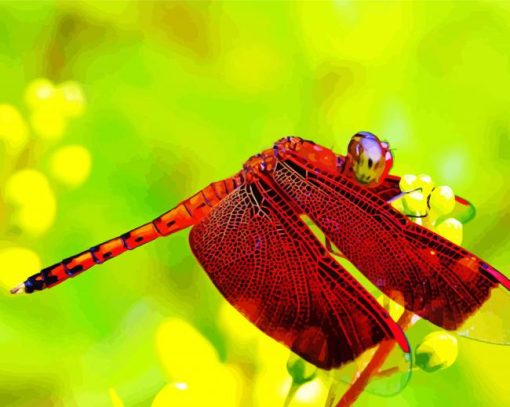 Whole Red Dragonfly Paint By Numbers