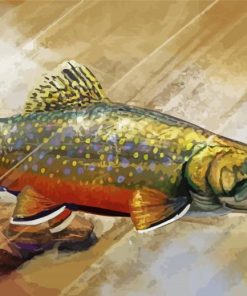 Brook Trout Fish Underwater Paint By Numbers
