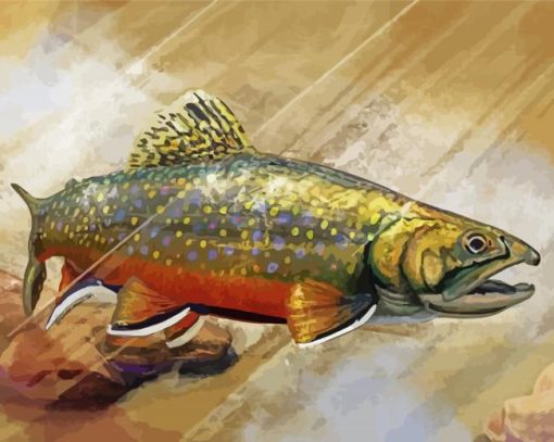 Brook Trout Fish Underwater Paint By Numbers