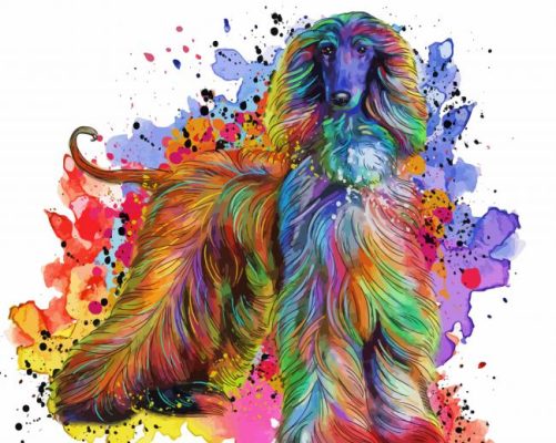 Colorful Afghan Hound Paint By Numbers