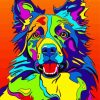 Colorful Border Collie Dog Paint By Numbers