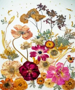 Dried Flowers Paint By Numbers