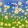 Field Of Daisies Art Paint By Numbers
