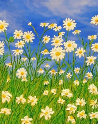 Field Of Daisies Art Paint By Numbers