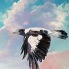 Flying Australian Magpie Art Paint By Numbers