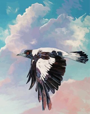 Flying Australian Magpie Art Paint By Numbers