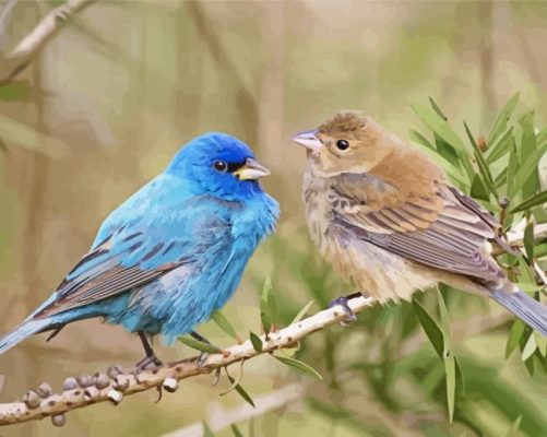 Indigo Bunting Birds Paint By Numbers