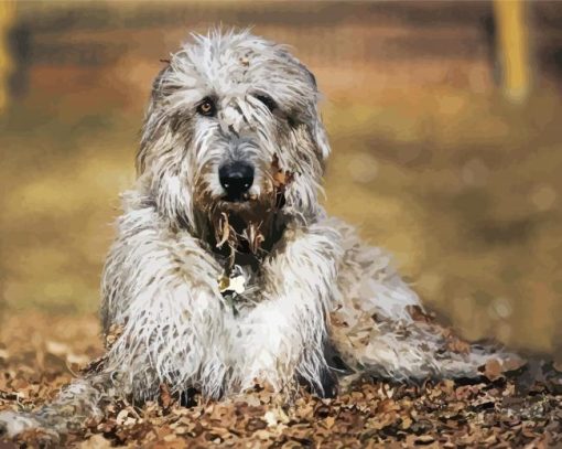 Irish Wolfhound Paint By Numbers