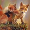 Red Baby Foxes Paint By Numbers