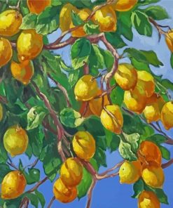 The Lemon Tree Paint By Numbers