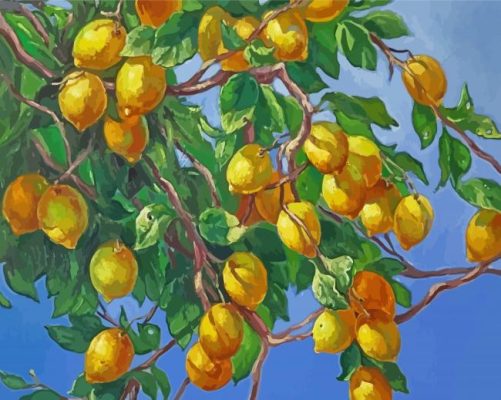 The Lemon Tree Paint By Numbers