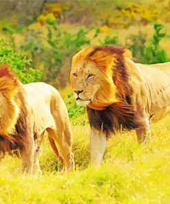 The Two Lions Animal Paint By Numbers
