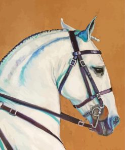 White Lusitano Horse Head Paint By Numbers