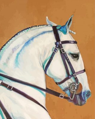 White Lusitano Horse Head Paint By Numbers