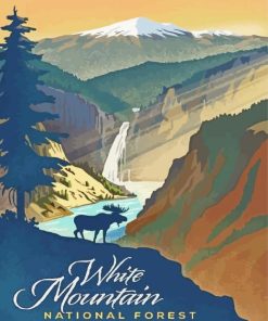 White Mountain National Forest Paint By Numbers