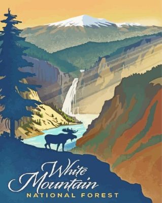 White Mountain National Forest Paint By Numbers