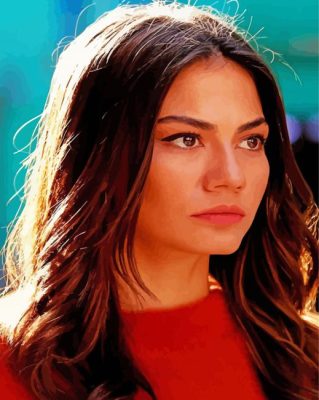 Demet Özdemir Actress Paint By Numbers