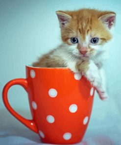 Adorable Kitten In A Cup Paint By Numbers