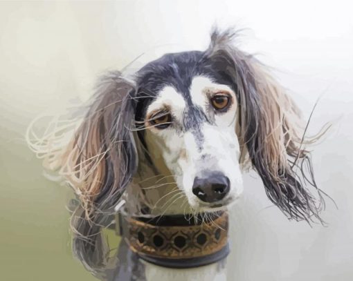Adorable Saluki Dog Paint By Numbers