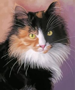Beautiful Siberian Cat Paint By Numbers