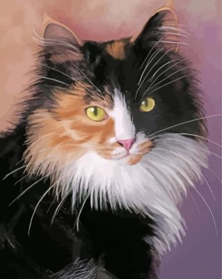 Beautiful Siberian Cat Paint By Numbers