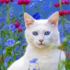 Beautiful Cat In Garden Paint By Numbers
