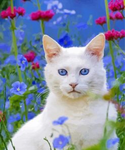 Beautiful Cat In Garden Paint By Numbers