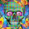 Colorful Skull And Butterflies Paint By Numbers