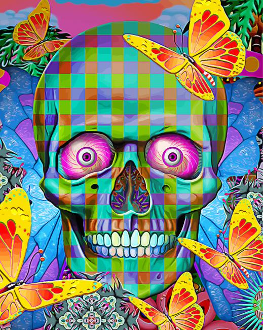 Colorful Skull And Butterflies Paint By Numbers