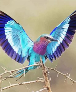 Roller Bird Paint By Numbers