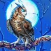 Fantasy Fierce Owl Art Paint By Numbers
