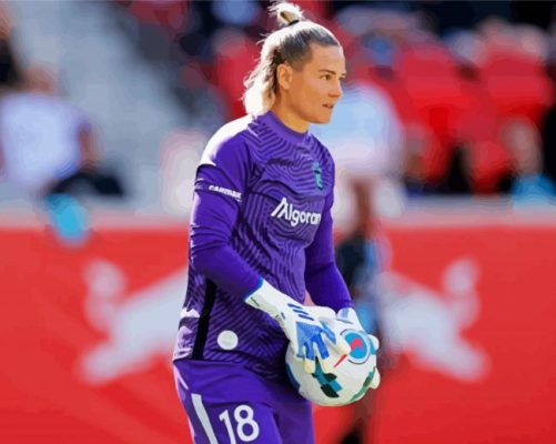 The Footballer Ashlyn Harris Paint By Numbers