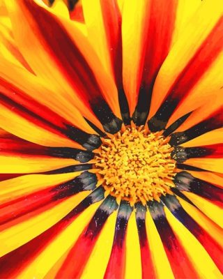 Gazania Big Kiss Yellow Paint By Numbers