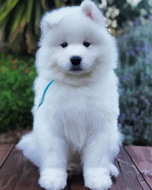 Samoyed Dog Paint By Numbers