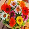 Colorful Gazanias Paint By Numbers