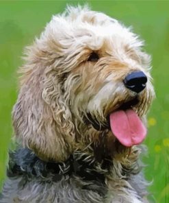 Otterhound Dog Paint By Numbers