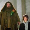 Rubeus Hagrid And Harry Paint By Numbers